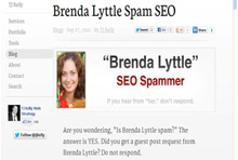 SEO Spammer-profile spamming